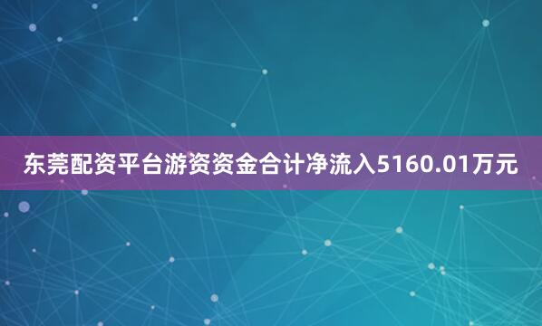 东莞配资平台游资资金合计净流入5160.01万元