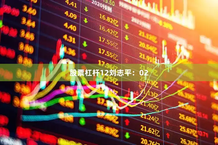 股票杠杆12　　刘志平：02