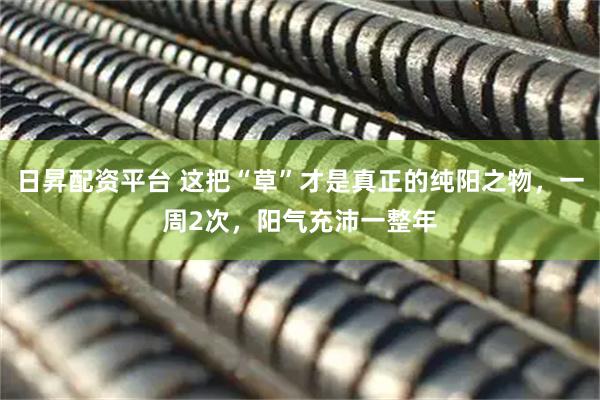 日昇配资平台 这把“草”才是真正的纯阳之物，一周2次，阳气充沛一整年